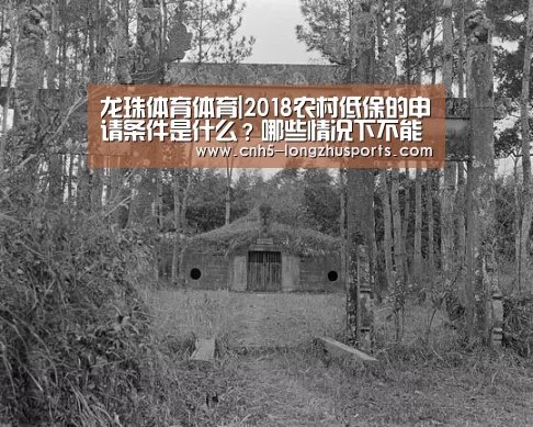 龙珠体育