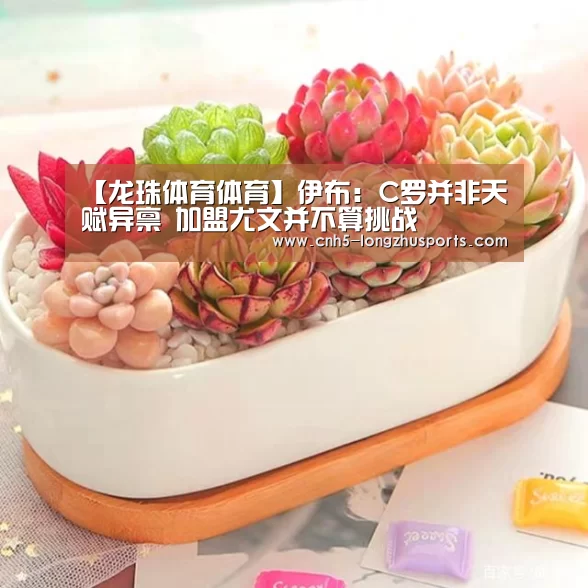 【龙珠体育体育】伊布:C罗并非天赋异禀 加盟尤文并不算挑战(图2) 龙珠体育体育