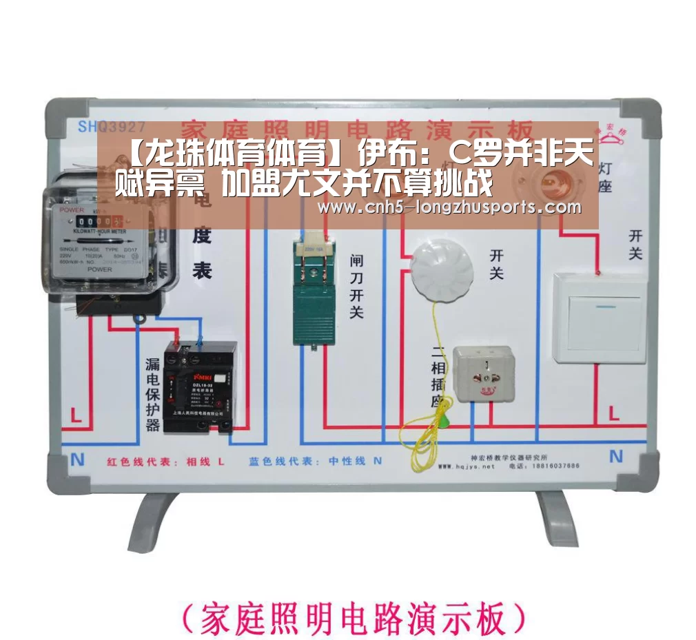 【龙珠体育体育】伊布:C罗并非天赋异禀 加盟尤文并不算挑战(图4) 龙珠体育