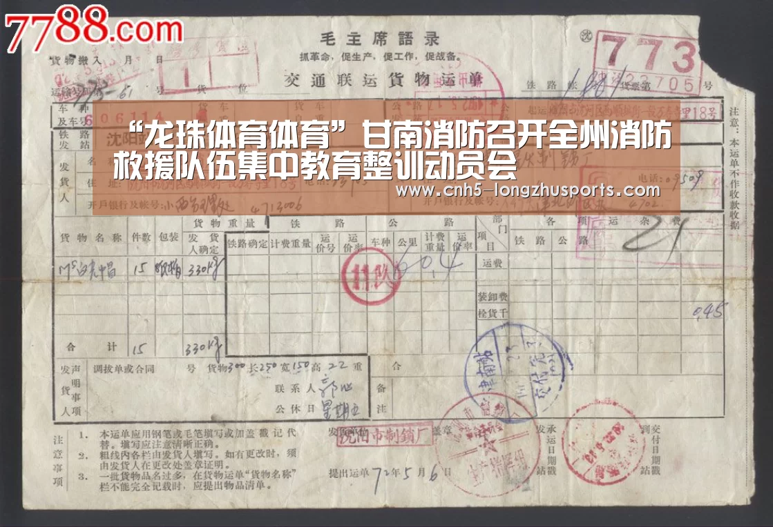 龙珠体育