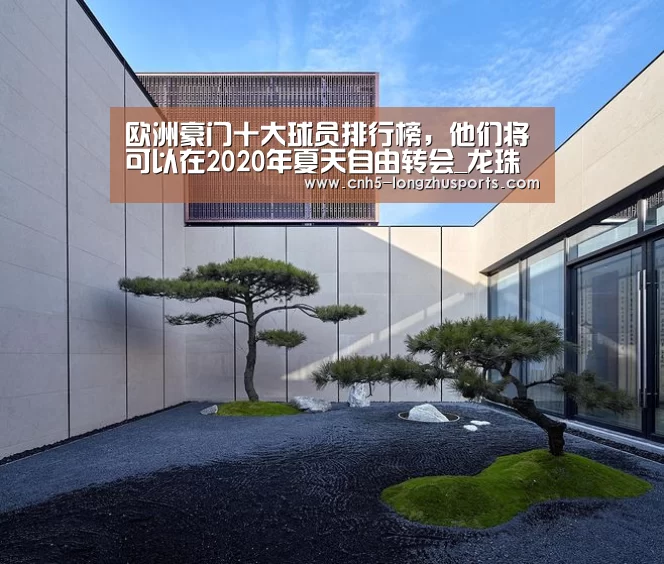 龙珠体育