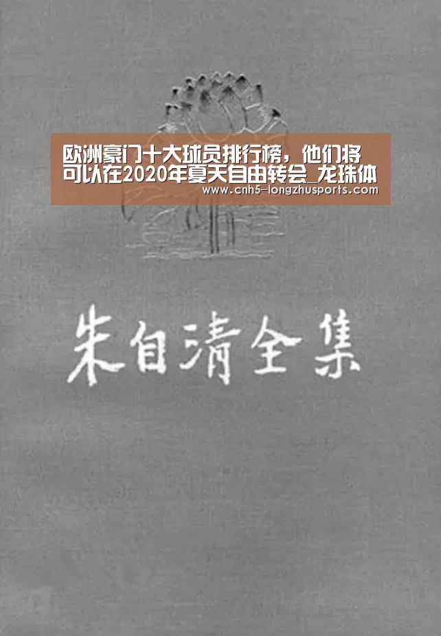 龙珠体育