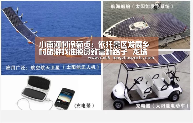 龙珠体育
