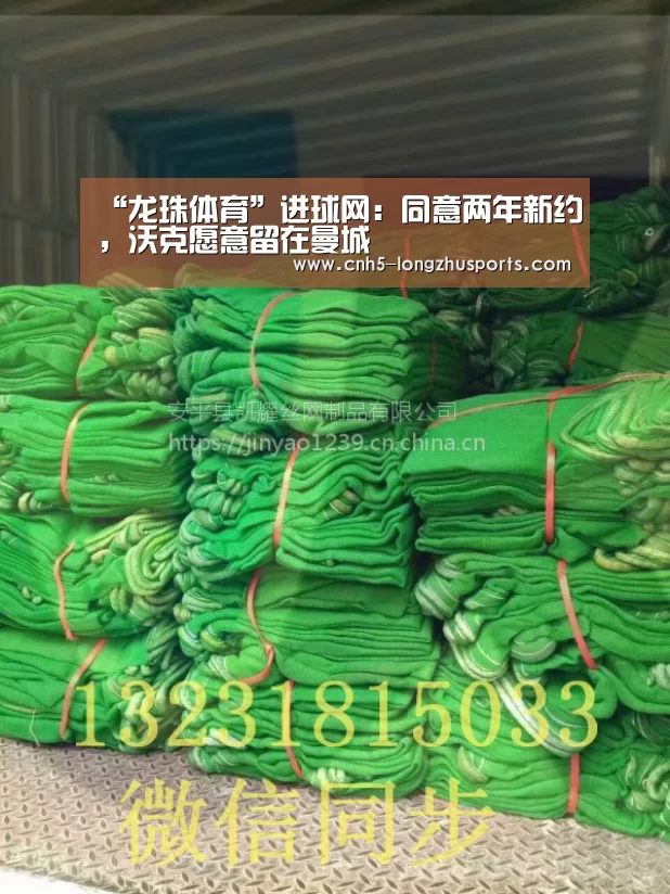 龙珠体育