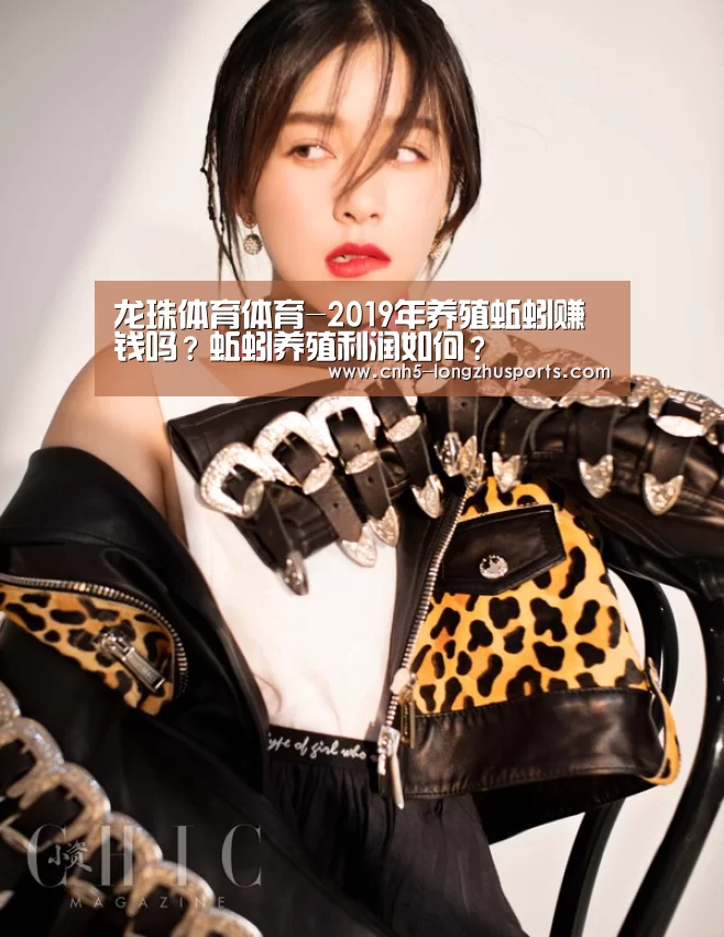 龙珠体育体育