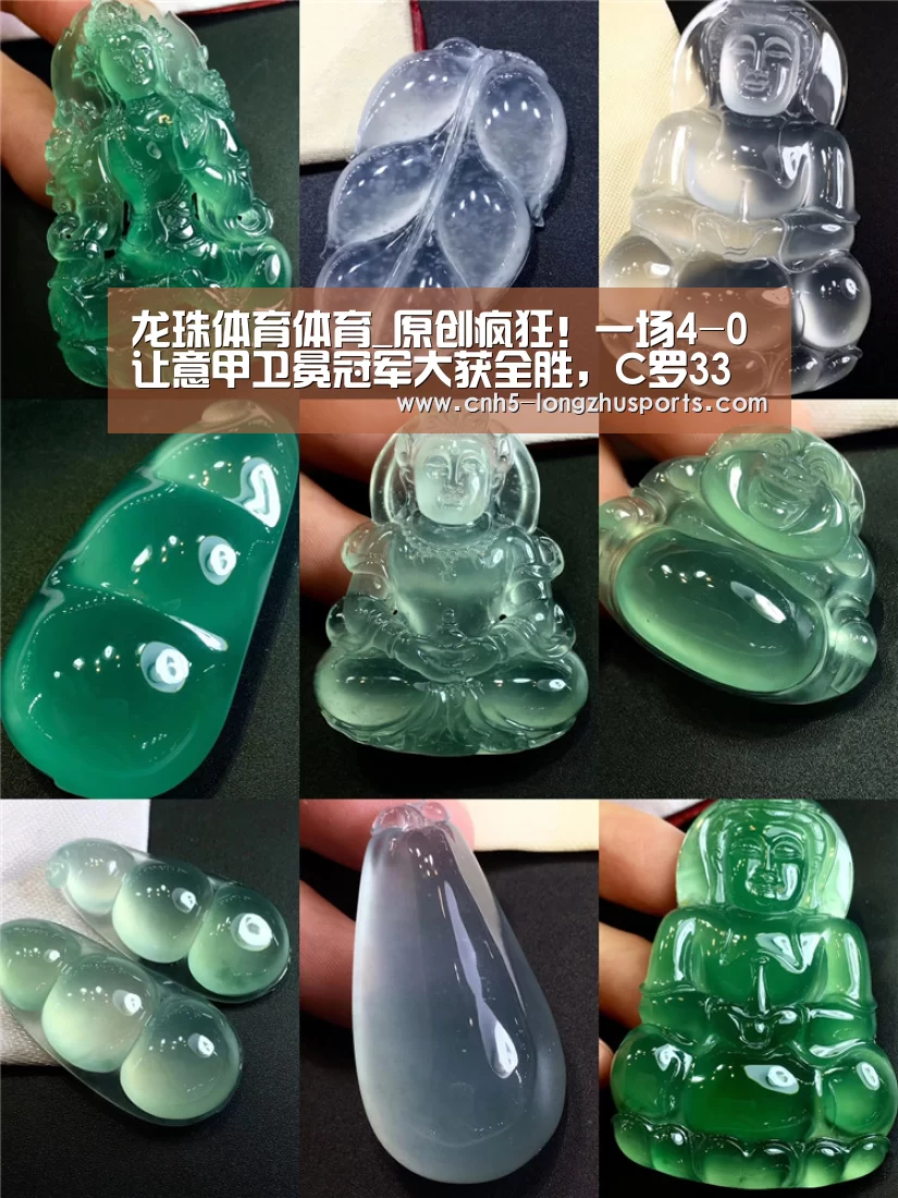 龙珠体育体育