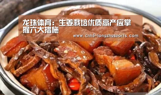 龙珠体育体育