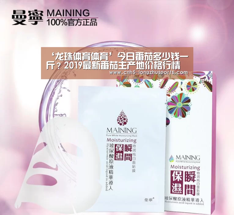 龙珠体育体育