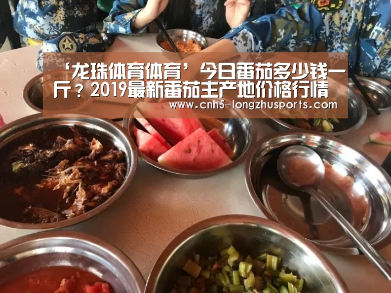 龙珠体育体育