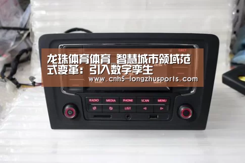 龙珠体育体育_智慧城市领域范式变革：引入数字孪生