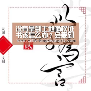龙珠体育体育