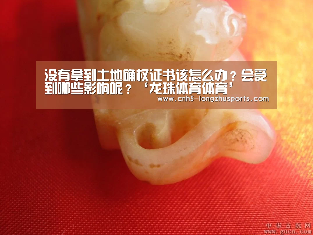 龙珠体育