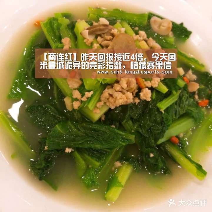 龙珠体育体育